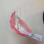 Capture d_écran 2023-12-17 112604