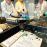 atelier éruption volcanique