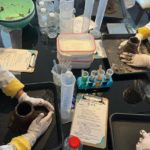 atelier éruption volcanique