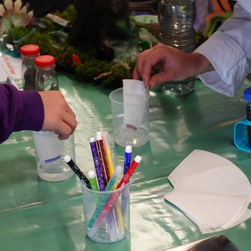 enfants ateliers les p'tits scientifiques